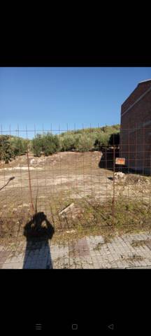 Terreno en venta en calle calvario, p de algarinej