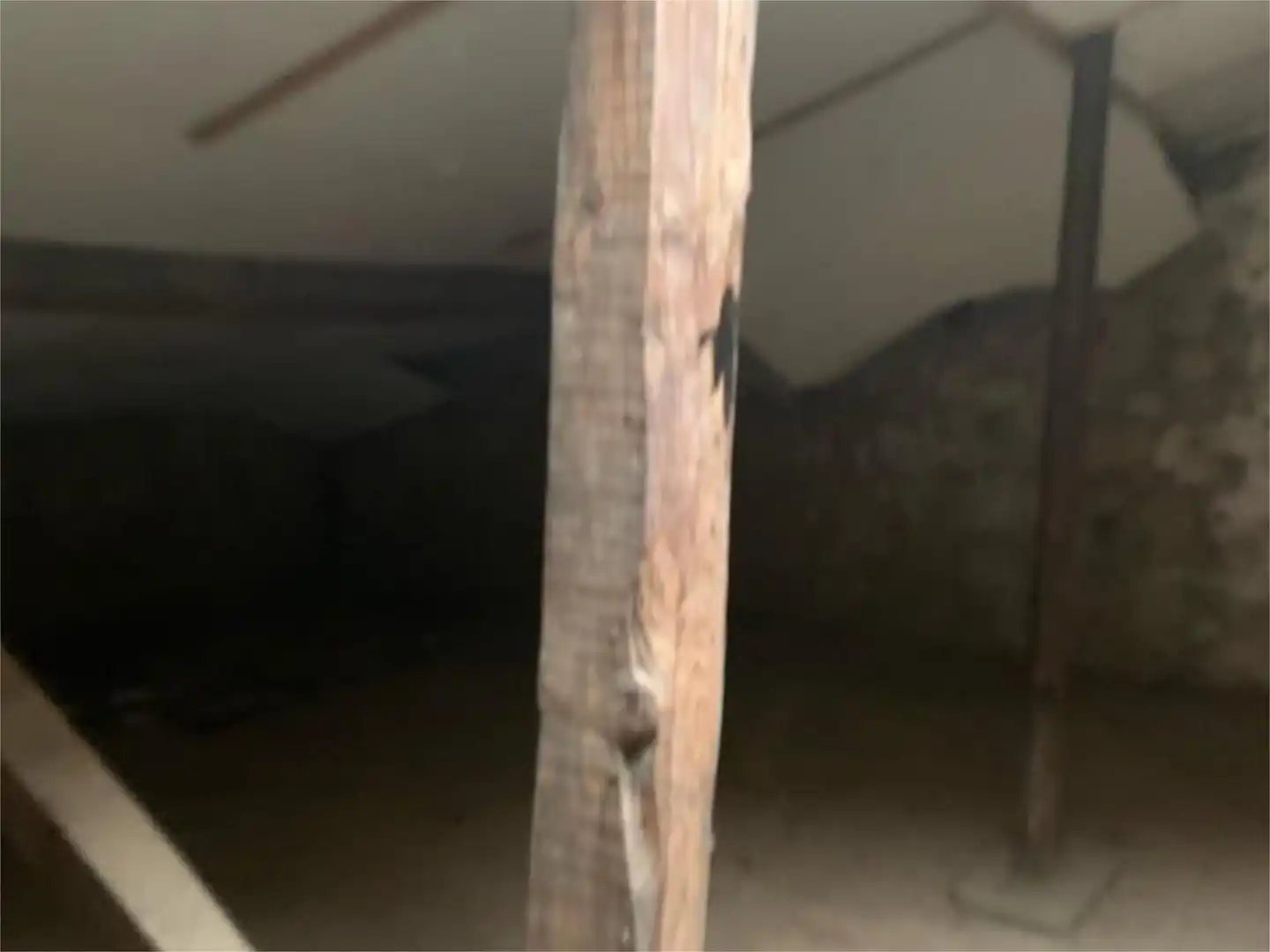 Planta baja en venta en Calle Parra, 8, Ciudad Rodrigo Planta baja en venta en Ciudad Rodrigo