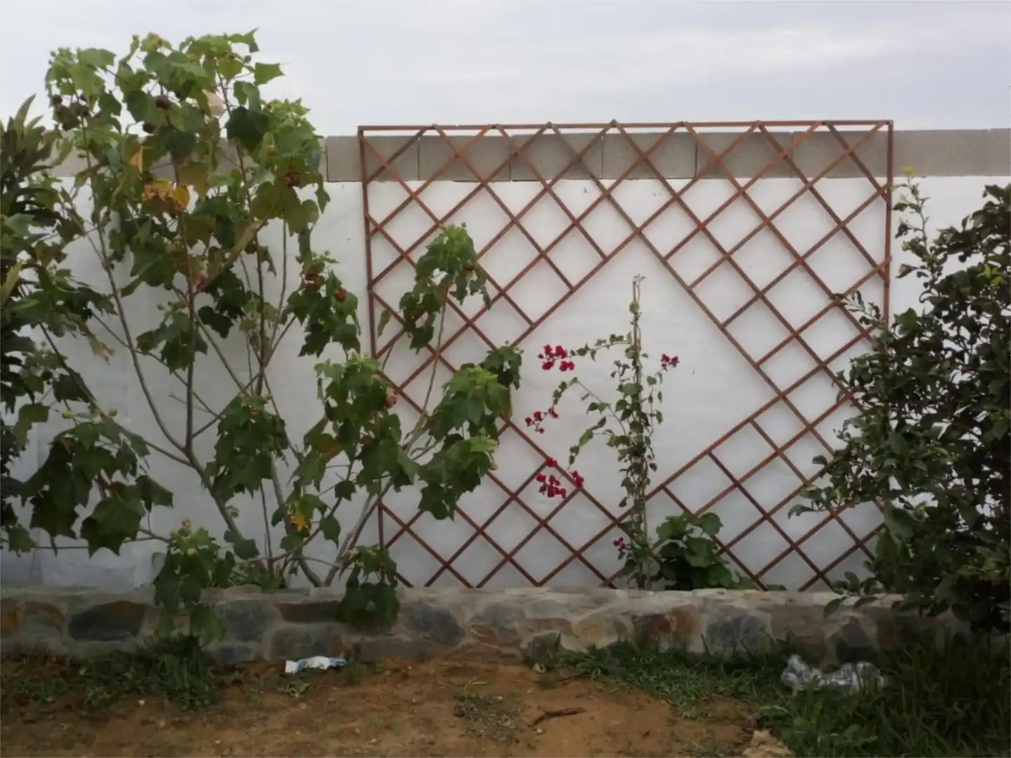 Casa o xalet de lloguer a Diseminado Barrio Nuevo, 510, Barrio Nuevo Casa o xalet de lloguer a Diseminado Barrio Nuevo, 510, Barrio Nuevo
