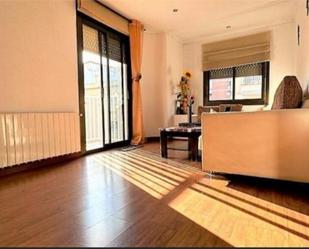 Living room of Flat for sale in Sant Boi de Llobregat  with Air Conditioner and Balcony