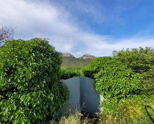 Jardí de Finca rústica en venda en Allín / Allin