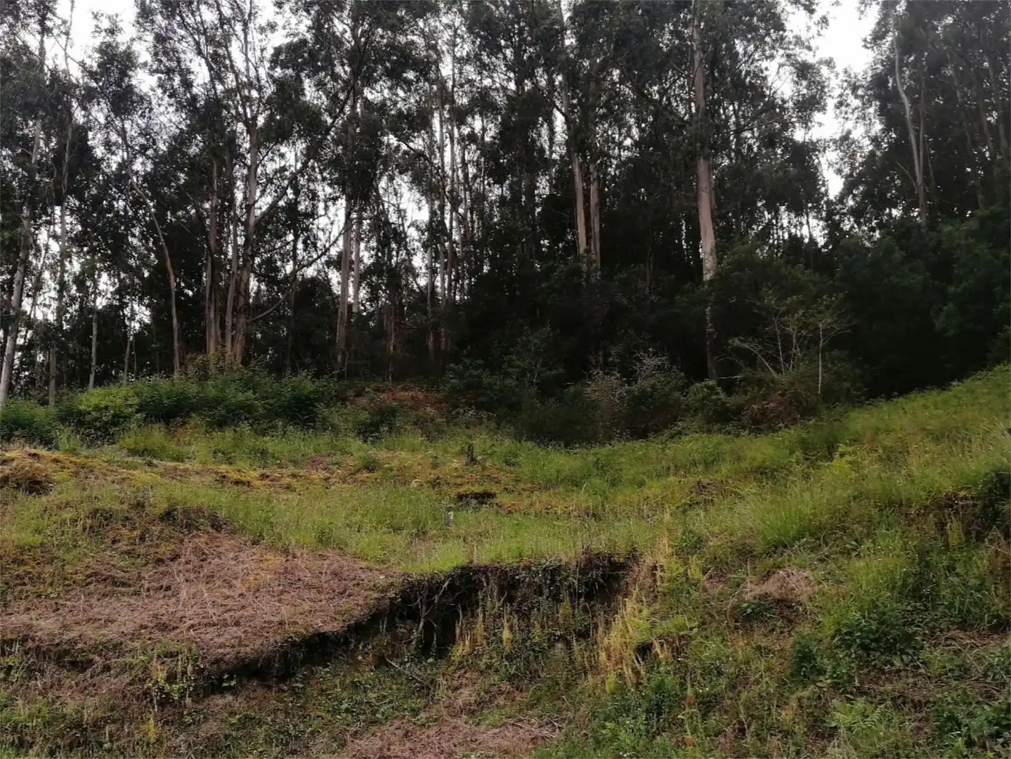 Land for sale in Camiño da Cabadiña, 4, Redondela Land for sale in Redondela