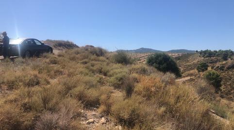 Urbanizable en venta en Barrio la Parroquia, 92, Jarales, Murcia - imagen 3 Foto 3 de Urbanizable en venta en Barrio la Parroquia, 92, Jarales, Murcia