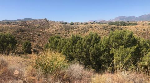 Urbanizable en venta en Barrio la Parroquia, 92, Jarales, Murcia - imagen 4 Foto 4 de Urbanizable en venta en Barrio la Parroquia, 92, Jarales, Murcia