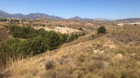 Urbanizable en venta en Barrio la Parroquia, 92, Jarales, Murcia - imagen 5 Foto 5 de Urbanizable en venta en Barrio la Parroquia, 92, Jarales, Murcia