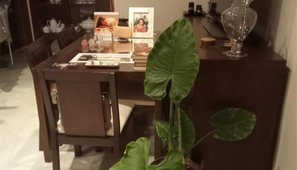 Photo 1 of Flat to share in Calle Diego de Los Reyes, 97, Castilleja de la Cuesta, Sevilla