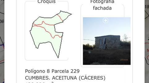 Terreno en venta en Aceituna, Cáceres - imagen 2 Foto 2 de Terreno en venta en Aceituna, Cáceres