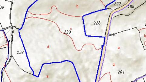 Terreno en venta en Aceituna, Cáceres - imagen 3 Foto 3 de Terreno en venta en Aceituna, Cáceres