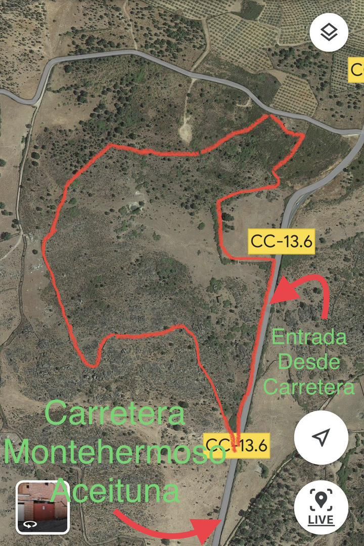 Terreno en venta en Aceituna