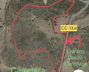 Land for sale in Aceituna