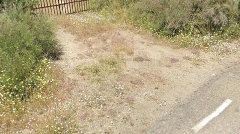 Terreno en venta en Aceituna, Cáceres - imagen 4 Foto 4 de Terreno en venta en Aceituna, Cáceres