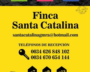 Apartament de lloguer en Hermigua amb Terrassa, Moblat i Microones