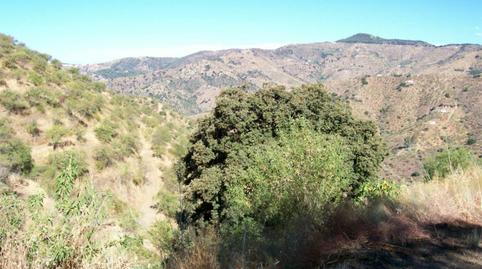 Land for sale in Olías, Málaga - image 5 Photo 5 of Land for sale in Olías, Málaga