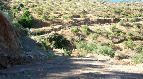 Land for sale in Olías, Málaga - image 2 Photo 2 of Land for sale in Olías, Málaga