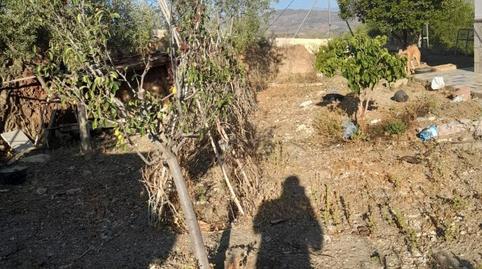 Casa o xalet de lloguer a Diseminado Diseminados, 631, Almogía, Málaga - imatge 5 Foto 5 de Casa o xalet de lloguer a Diseminado Diseminados, 631, Almogía, Málaga