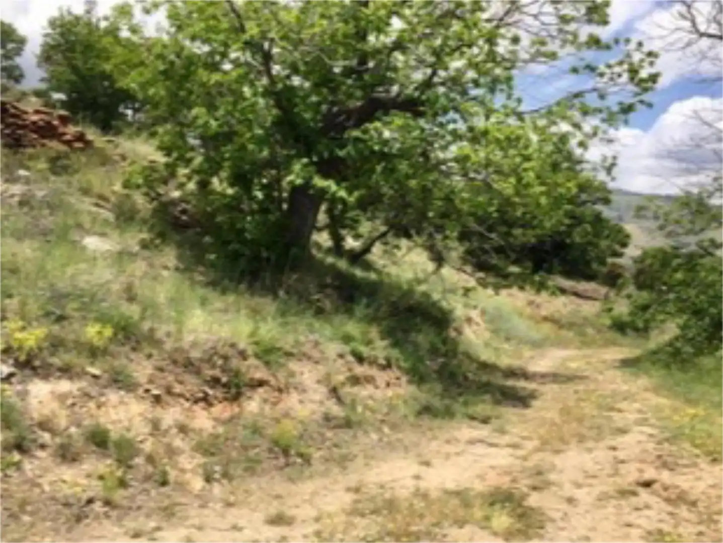 Terreno en venta en Cáñar Terreno en venta en Cáñar