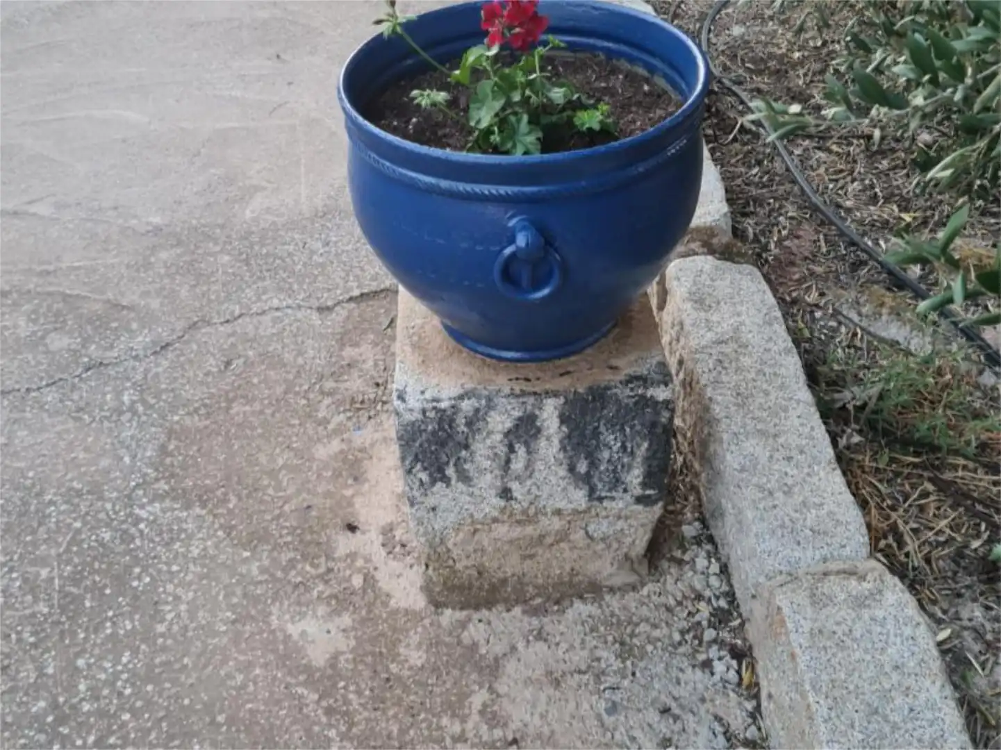 Vista exterior de Finca rústica en venta en Peñarroya-Pueblonuevo con Jardín privado, Terraza y Trastero