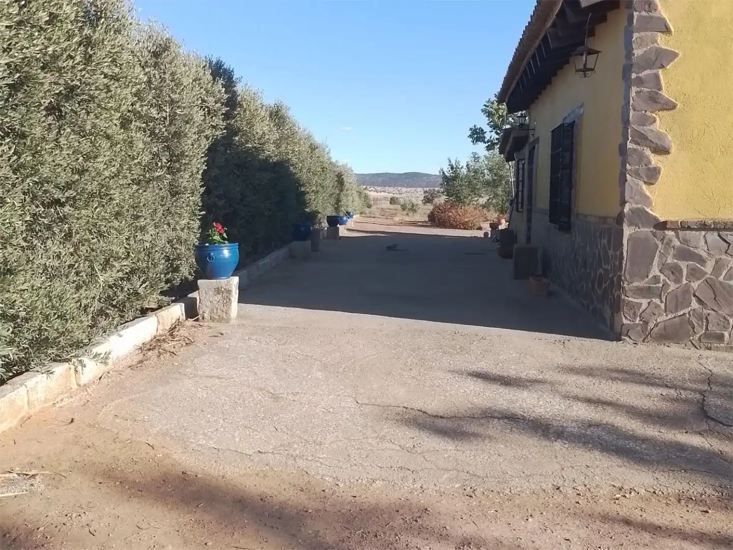 Vista exterior de Finca rústica en venta en Peñarroya-Pueblonuevo con Jardín privado, Terraza y Trastero
