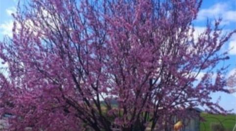 Photo 5 of Country house for sale in Calle Alfonso XII, 62, Peñarroya-Pueblonuevo, Córdoba