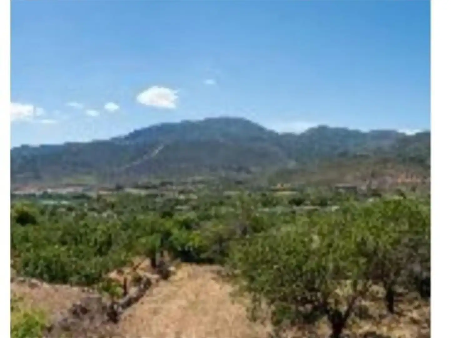 Detached homes for sale in Laujar de Andarax  with Terrace, Storage room and Balcony