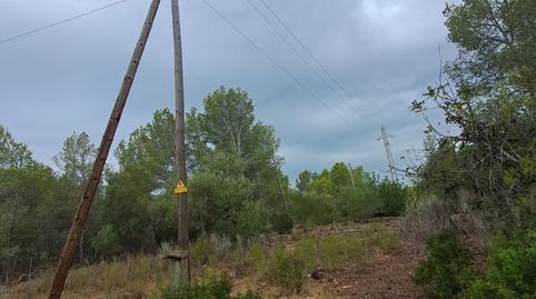 Photo 3 of Land for sale in Vial Camino, 48b, Calafat, Tarragona