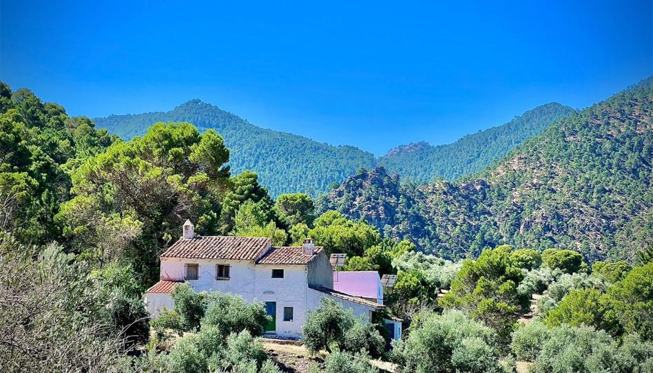 Finca rústica en venta en Calle Corredeja, 39, Siles, Jaén - imagen 1 Foto 1 de Finca rústica en venta en Calle Corredeja, 39, Siles, Jaén