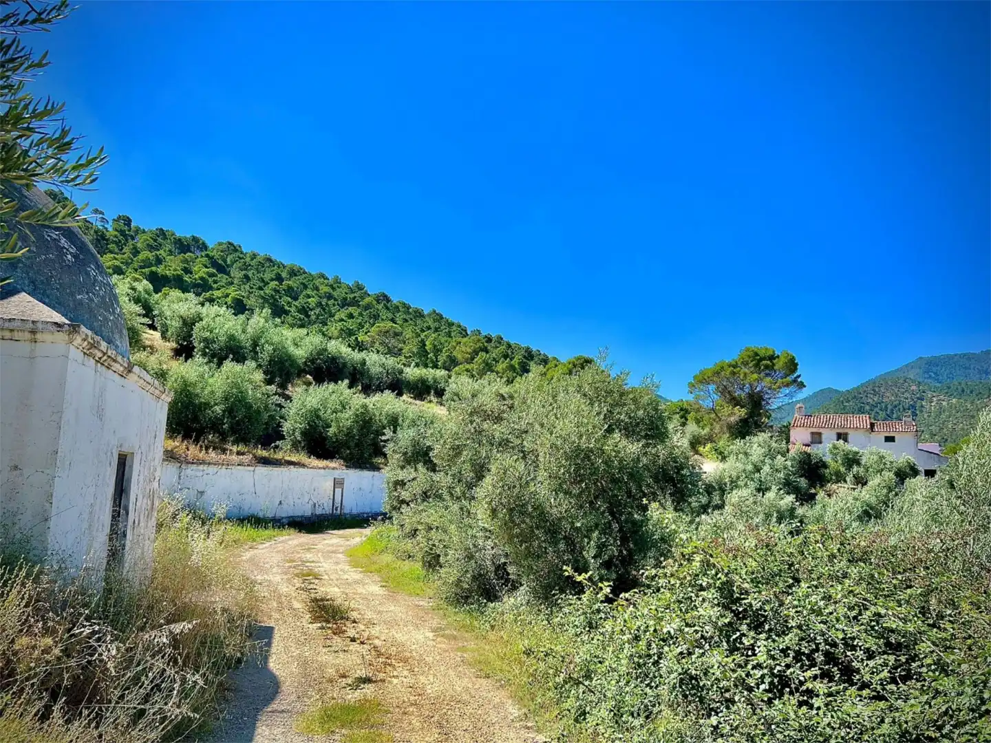 Finca rústica en venta en Calle Corredeja, 39, Siles Vista exterior de Finca rústica en venta en Siles