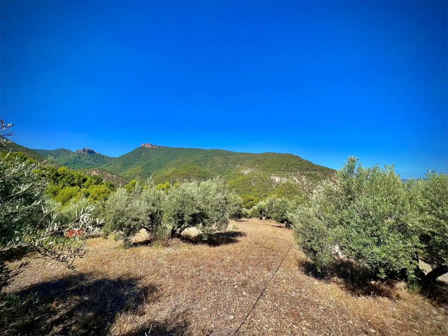 Finca rústica en venta en Calle Corredeja, 39, Siles Finca rústica en venta en Siles