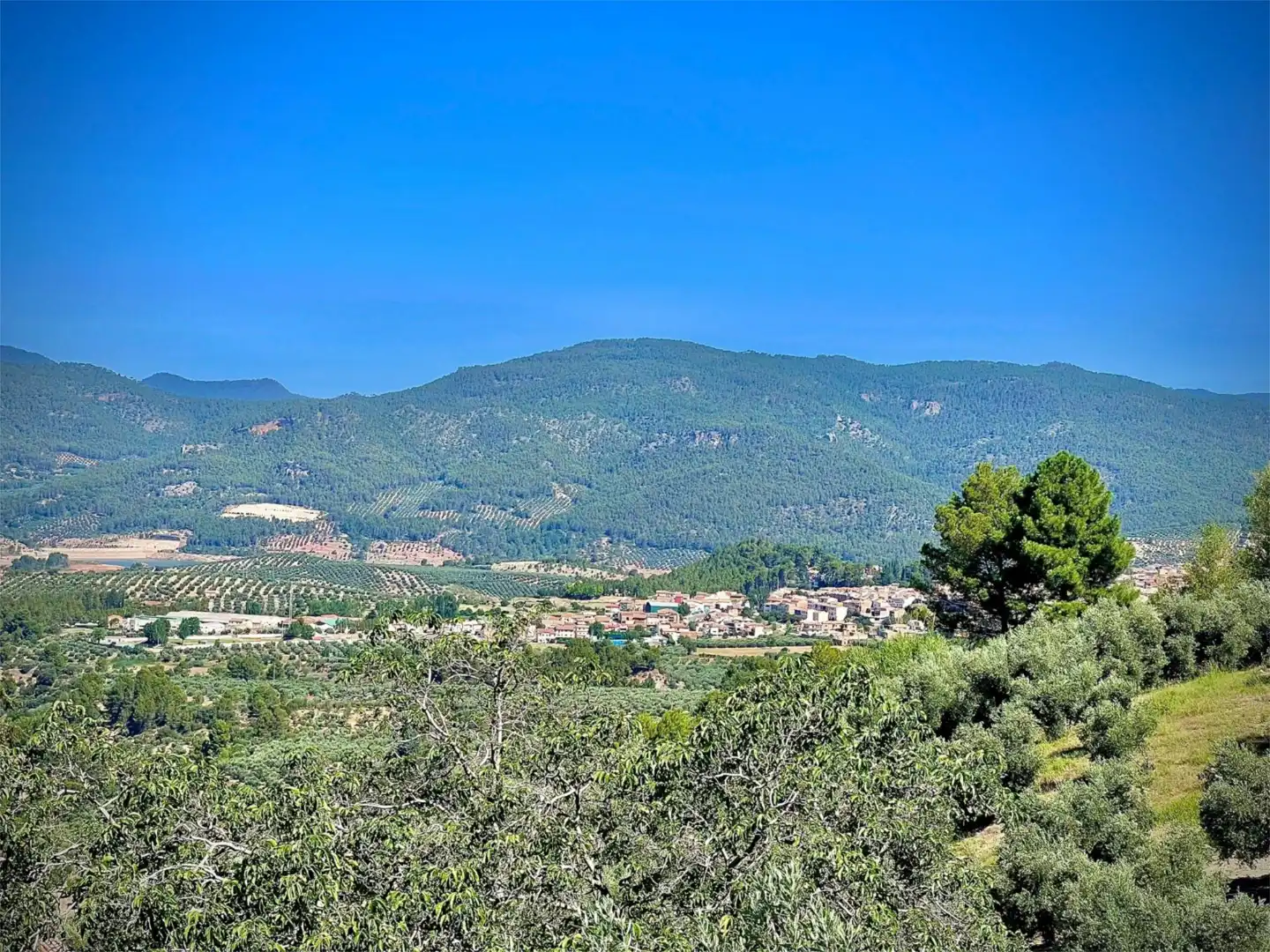 Finca rústica en venta en Calle Corredeja, 39, Siles Vista exterior de Finca rústica en venta en Siles
