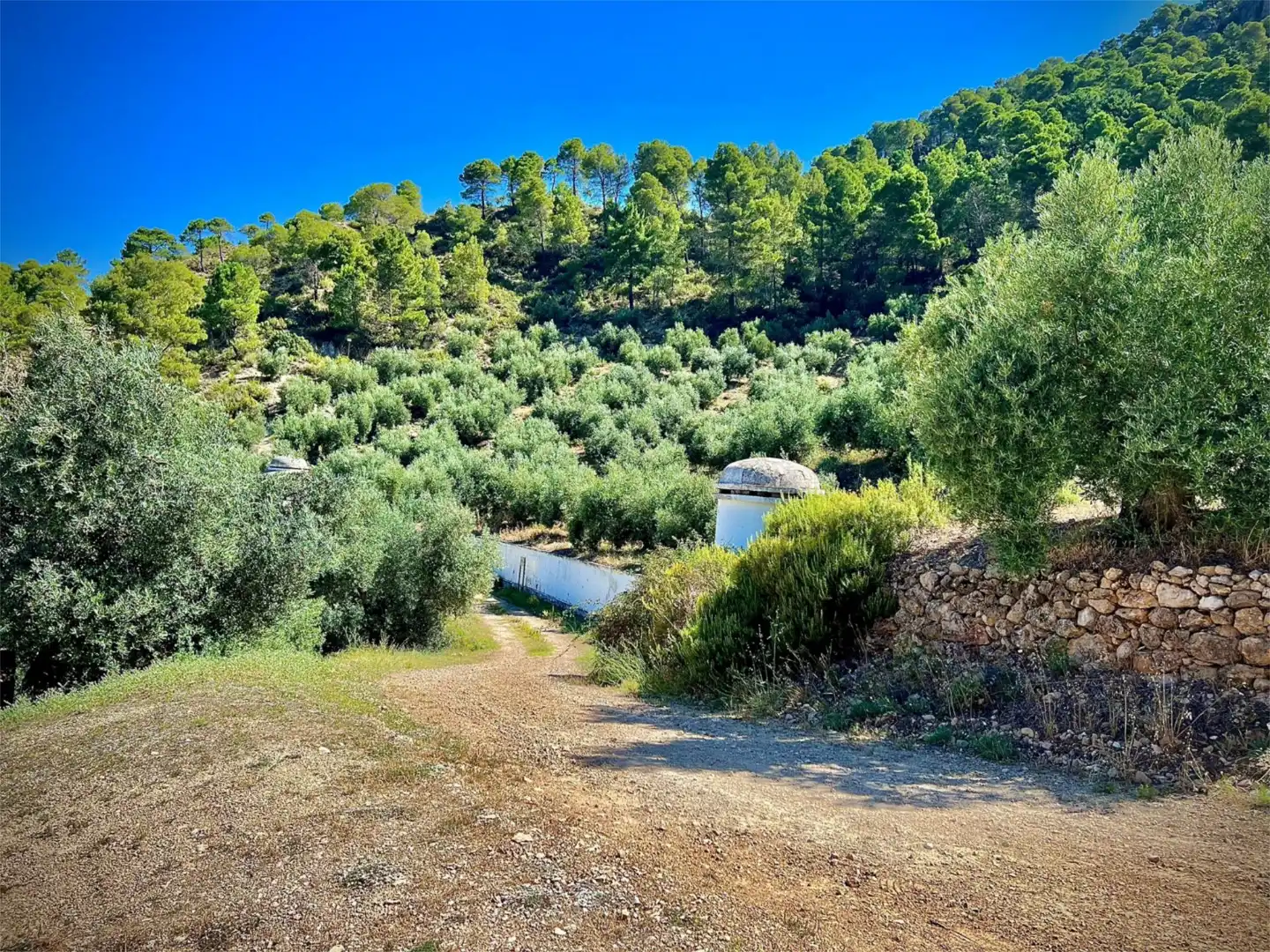 Finca rústica en venta en Calle Corredeja, 39, Siles Vista exterior de Finca rústica en venta en Siles