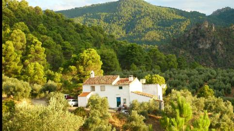 Finca rústica en venta en Calle Corredeja, 39, Siles, Jaén - imagen 5 Foto 5 de Finca rústica en venta en Calle Corredeja, 39, Siles, Jaén