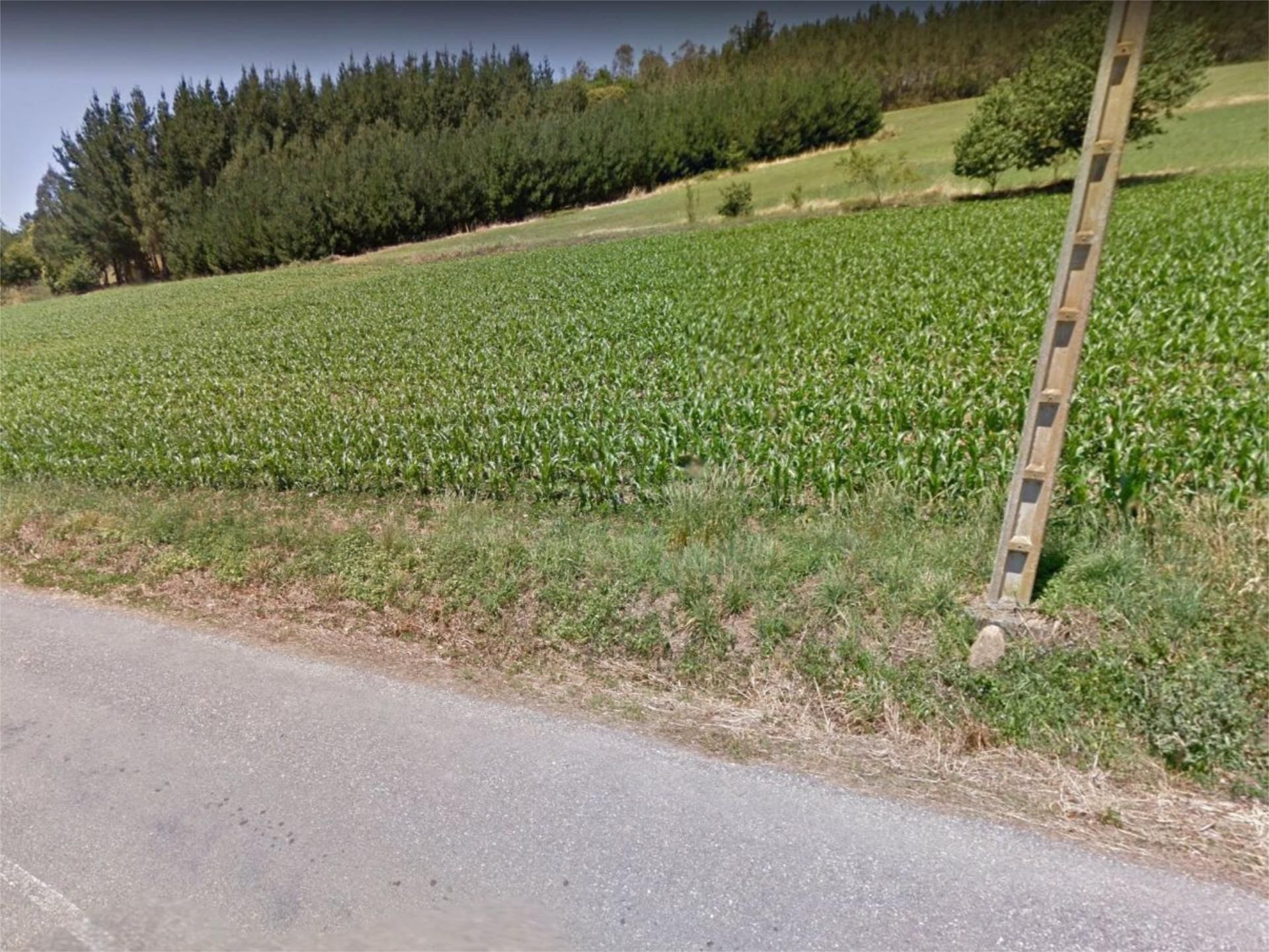 Terreno en venta en A Pontenova  