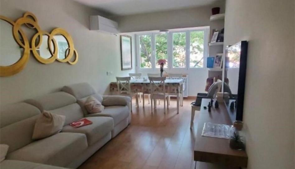 Flat to rent in Plaza de Ribadeo, 9, Pilar, Madrid Capital - image 1 Photo 1 of Flat to rent in Plaza de Ribadeo, 9, Pilar, Madrid Capital