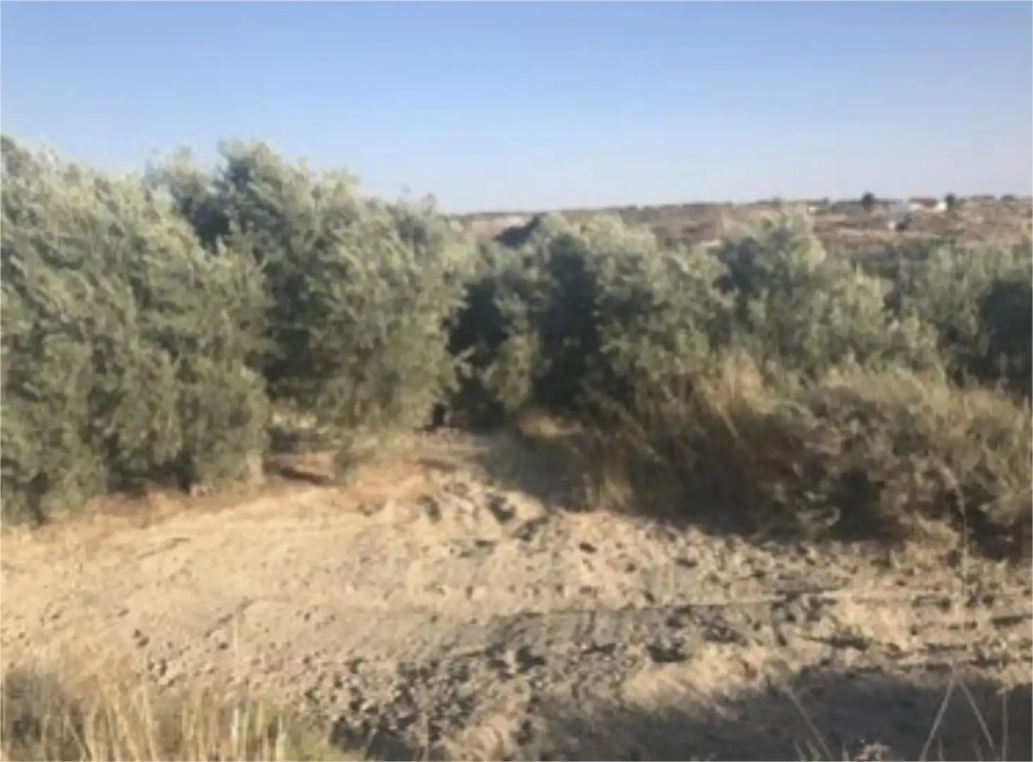 Finca rústica en venda en Benamaurel