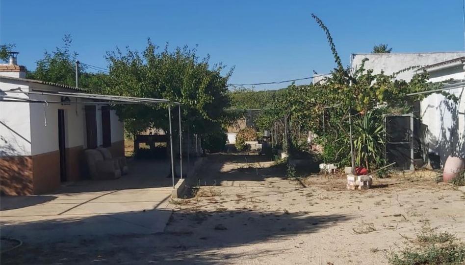 Foto 1 de Terreno en venta en Bonares, Huelva