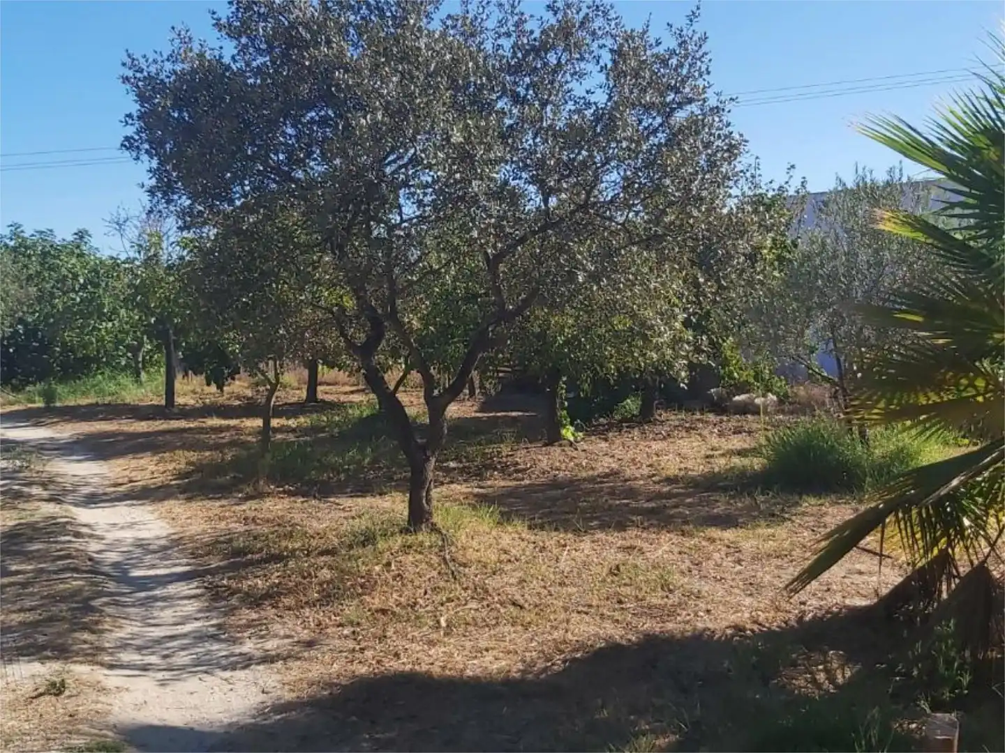 Land for sale in Bonares  with Air Conditioner, Heating and Storage room
