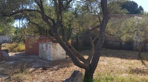 Foto 4 de Terreno en venta en Bonares, Huelva