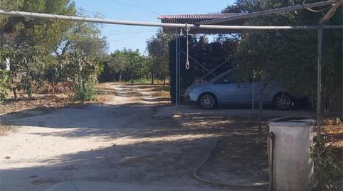 Foto 3 de Terreno en venta en Bonares, Huelva