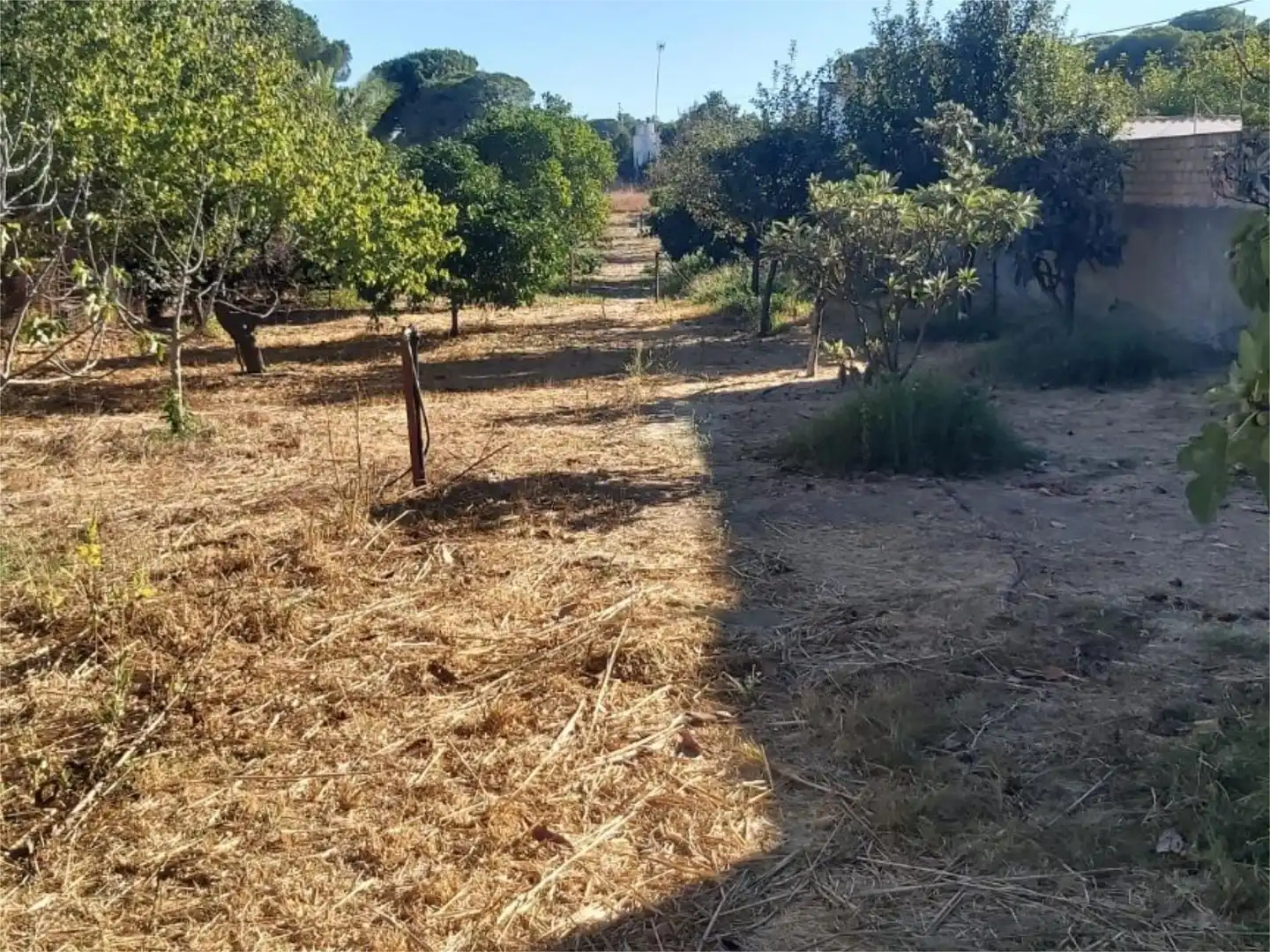 Land for sale in Bonares  with Air Conditioner, Heating and Storage room