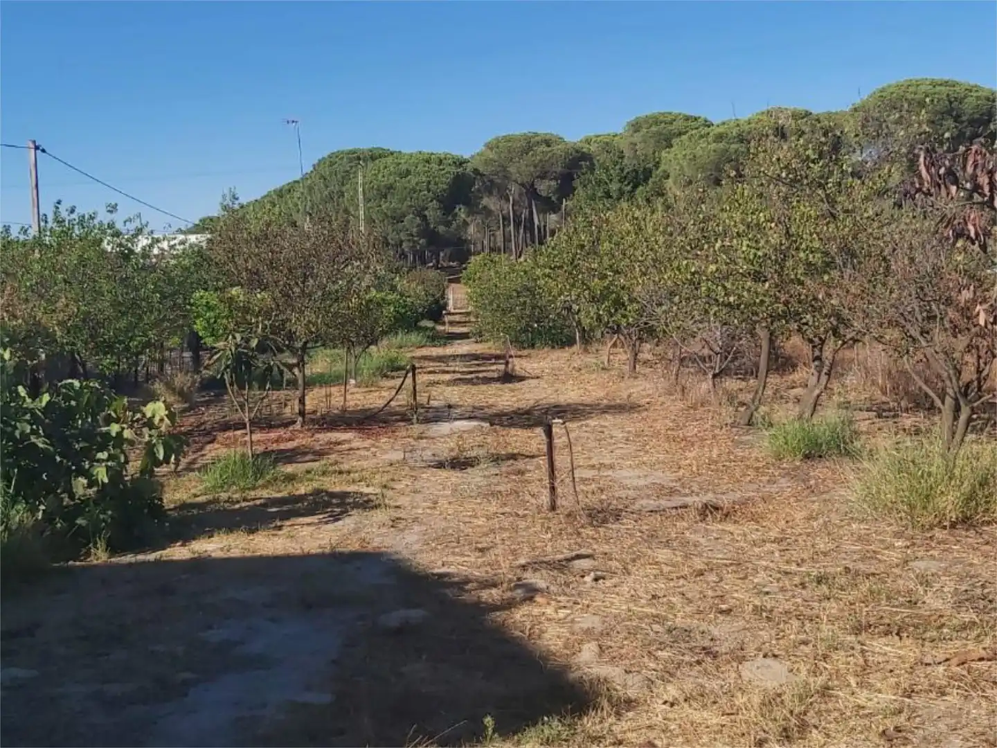 Land for sale in Bonares  with Air Conditioner, Heating and Storage room
