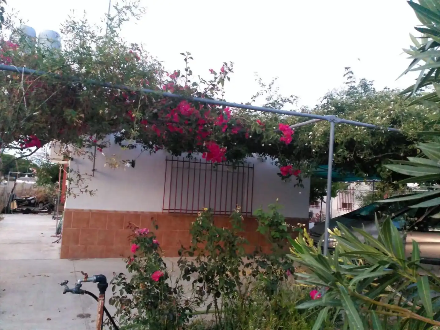 Garden of Land for sale in Bonares  with Air Conditioner, Heating and Storage room