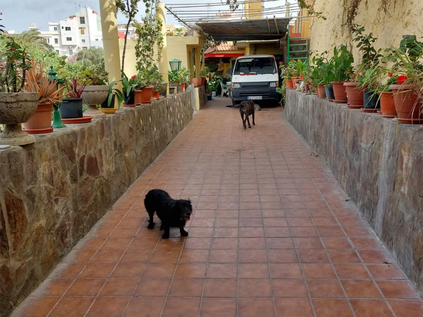 Exterior view of Country homes for sale in Telde  with Terrace, Furnished and Cellar