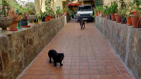 Country house for sale in Calle Inés Chemida, 29, San Juan, Las Palmas - image 3 Photo 3 of Country house for sale in Calle Inés Chemida, 29, San Juan, Las Palmas