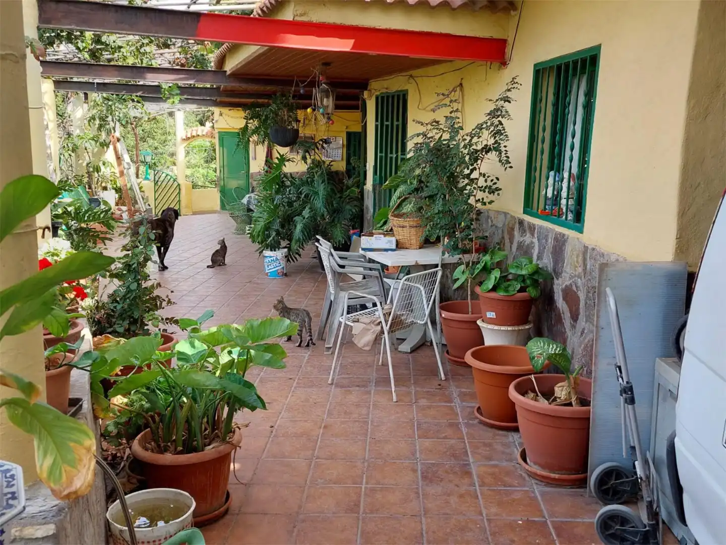 Terrace of Country homes for sale in Telde  with Terrace, Furnished and Cellar