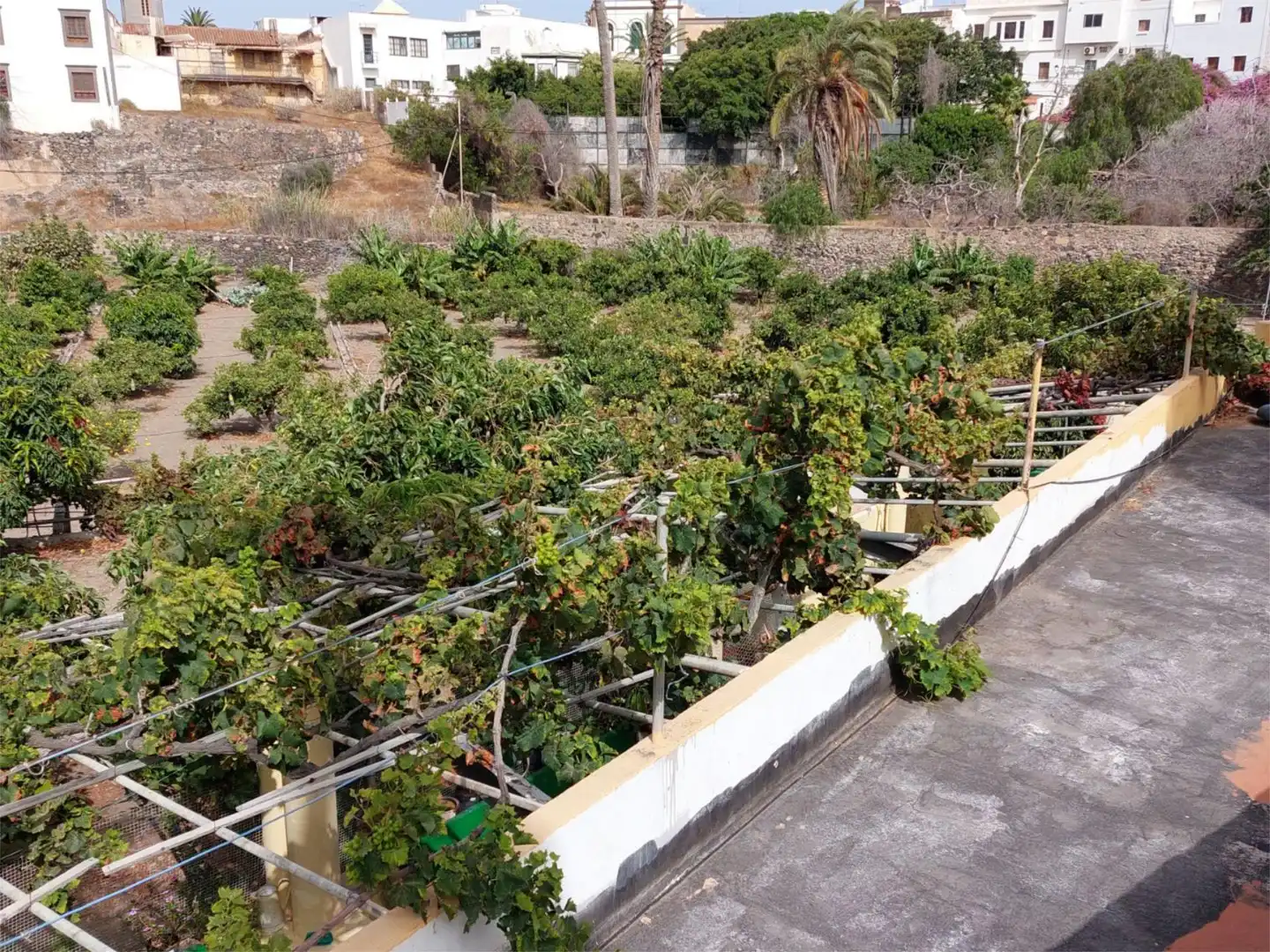 Exterior view of Country homes for sale in Telde  with Terrace, Furnished and Cellar