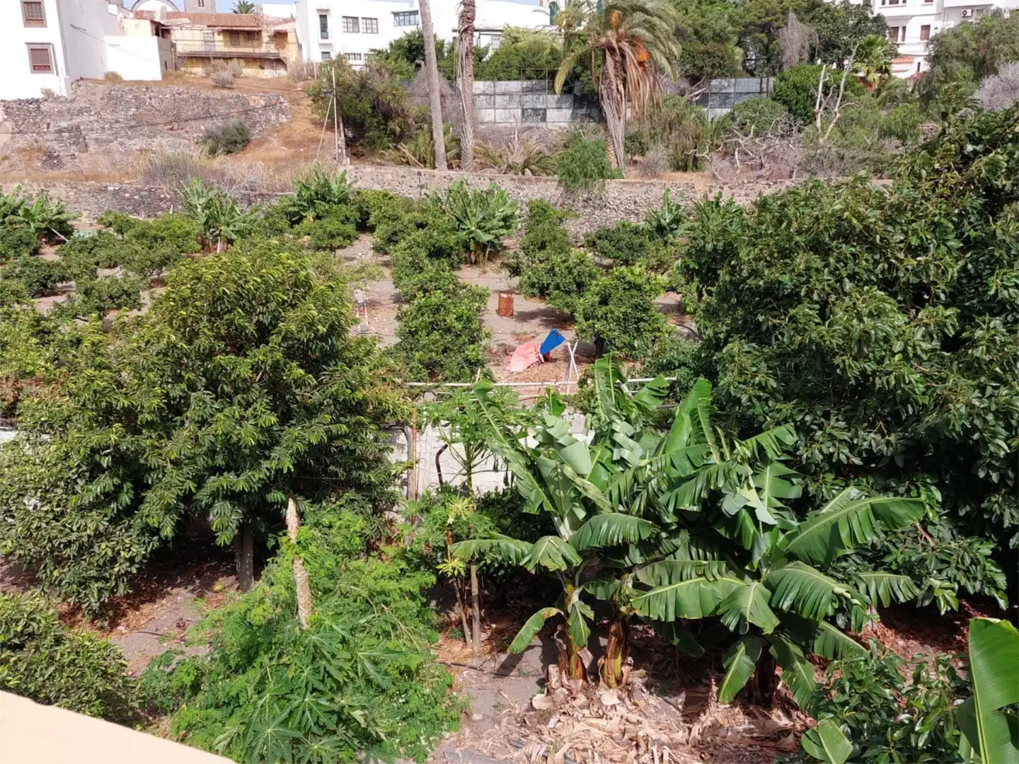 Country homes for sale in Telde  with Terrace, Furnished and Cellar