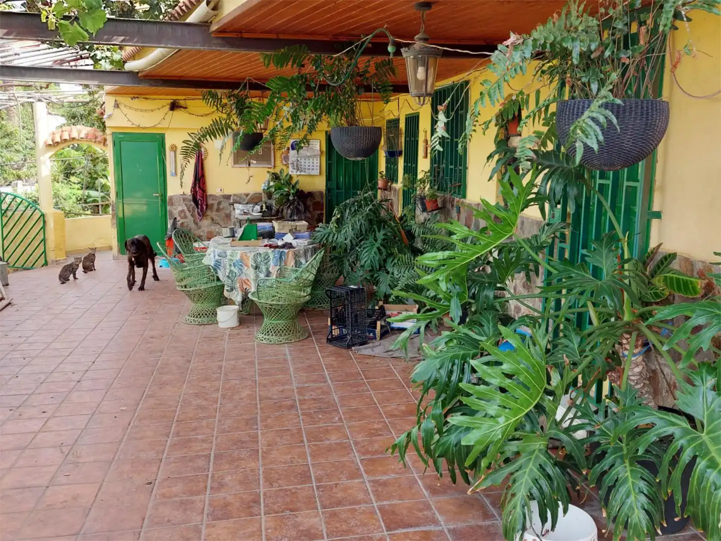 Terrace of Country homes for sale in Telde  with Terrace, Furnished and Cellar