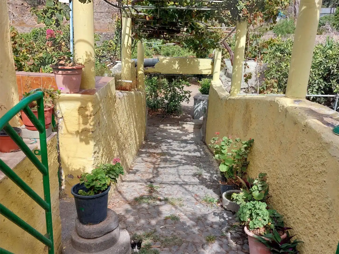Country homes for sale in Telde  with Terrace, Furnished and Cellar