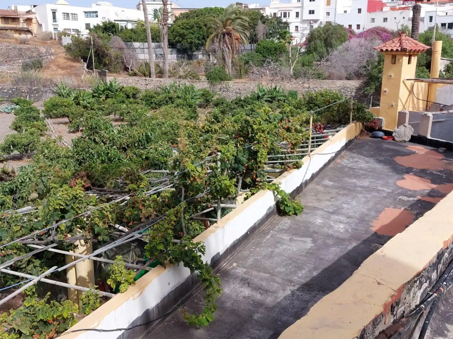 Terrace of Country homes for sale in Telde  with Terrace, Furnished and Cellar
