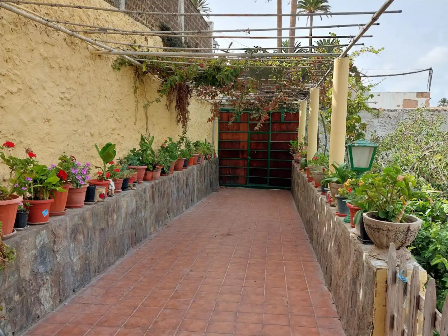 Terrace of Country homes for sale in Telde  with Terrace, Furnished and Cellar
